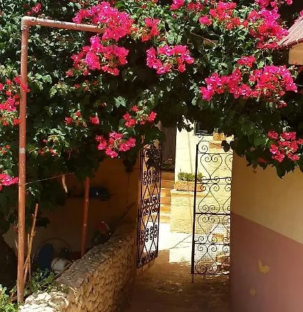 Seaview Terrace * Айнсилем